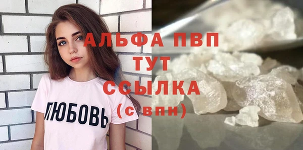 шишки Арсеньев