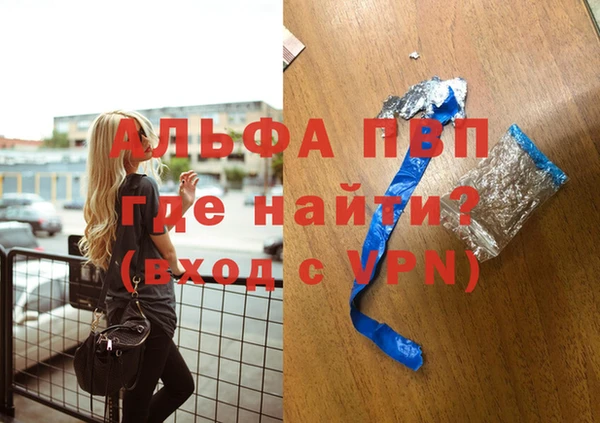 стаф Ростов