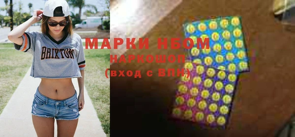 шишки Арсеньев