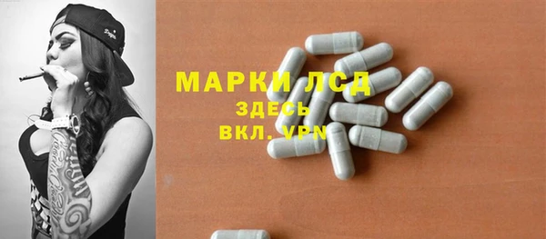 шишки Арсеньев