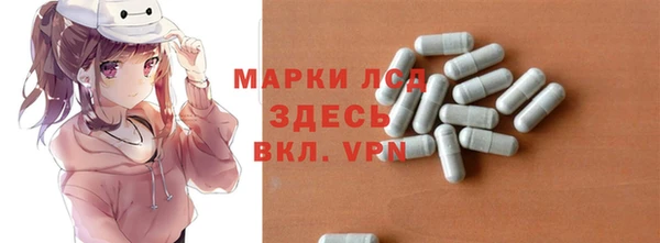 шишки Арсеньев