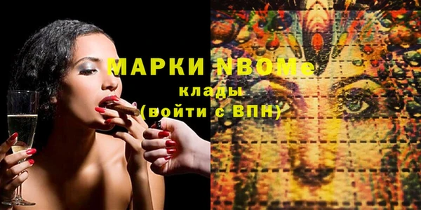 шишки Арсеньев