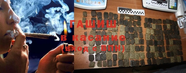 шишки Арсеньев