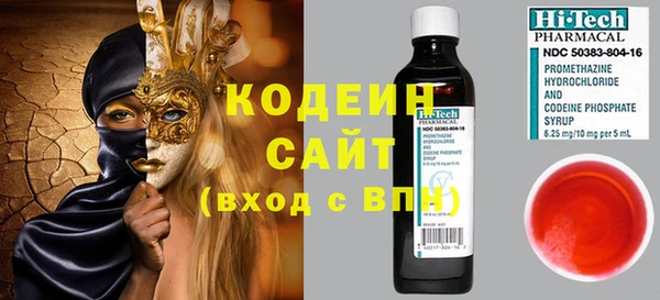 шишки Арсеньев