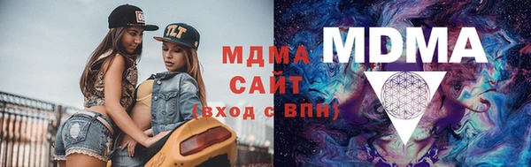 шишки Арсеньев