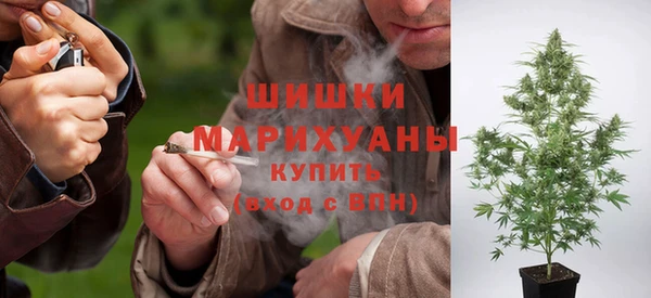 шишки Арсеньев