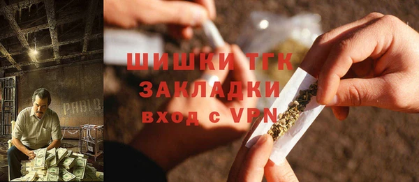 шишки Арсеньев